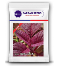 Amaranthus / Rajgiri Sarpan Red 250 grams